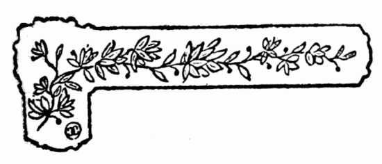 decoraci�n no disponible