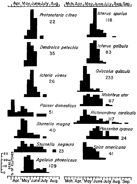 Fig 8.&mdash;Histograms representing breeding schedules of wood warblers, the House Sparrow, icterids, and cardinal grosbeaks