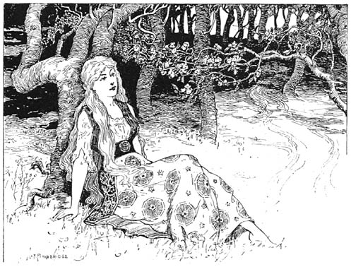 &lsquo;He had not expected to see her half so beautiful.&rsquo;