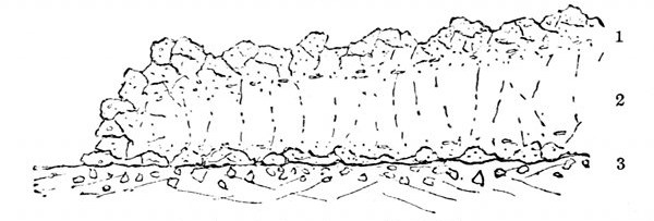 Fig. 40.

Section of a lava-flow. (J. Geikie.)

1, Slaggy crust, formed chiefly of scori� of a glassy nature. 2, Middle
portion where crystals form. 3, Slaggy crust which has slipped down and
been covered by the flow.