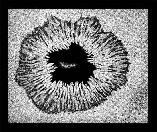 Fig. 52.

A quiet sun-spot. (Secchi.)