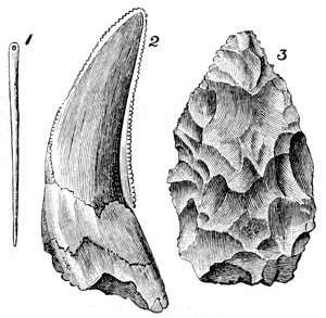 Fig. 78.

Pal�olithic relics.

1, Bone needle, from a cave at La
Madeleine, � size. 2, Tooth of Machairodus
or sabre-toothed tiger, from Kent's
Cavern, � size. 3, Rough stone implement,
from Kent's Cavern, � size.