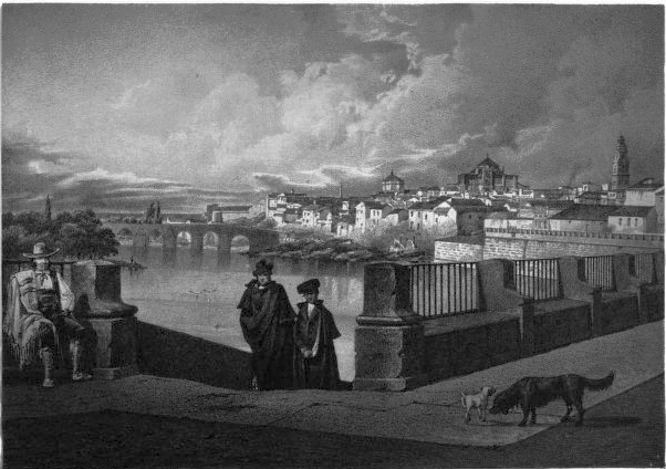 VISTA DE CORDOBA.
(desde los M�rtires.)
