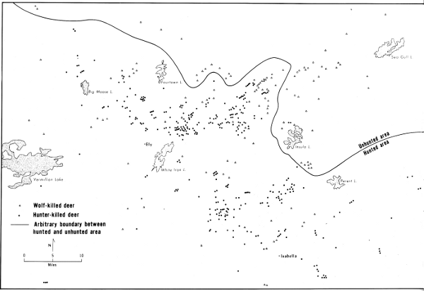 Figure 1.&mdash;The study area showing locations where wolf-killed and hunter-killed
deer were taken. Line arbitrarily separates the hunted area from
the wilderness area.