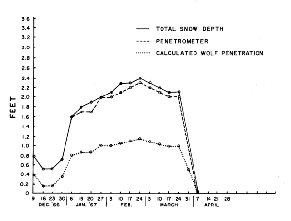 Figure 1.&mdash;Snow depth and penetrability by deer
and wolves near Isabella, Minnesota, 1966-67.