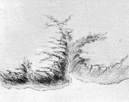 FIG. 1. Sketch of a valley
 at the stage of development corresponding to the cross section shown in Fig. 18.
