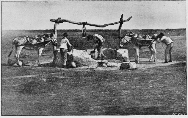 Plate X.

ANCIENT DRAW-WELL ON THE PLAINS.

Page 52.