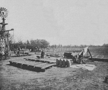 Fig. 62.&mdash;Washing, Drying, and Sacking Walnuts.