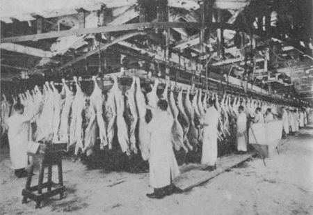 Fig. 13.&mdash;Splitting Backbone of Hogs.