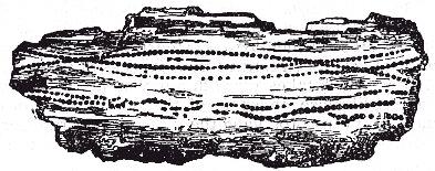 A layer, formed by the union of minute brown sph&aelig;rulites.