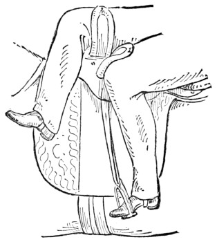 Fig. 23.&mdash;Incorrect position of legs and feet. Side view.