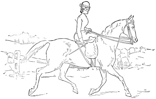 Fig. 30.&mdash;The Trot.
