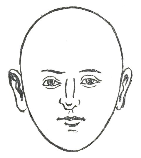 Fig. 16

EGG-SHAPED FACE