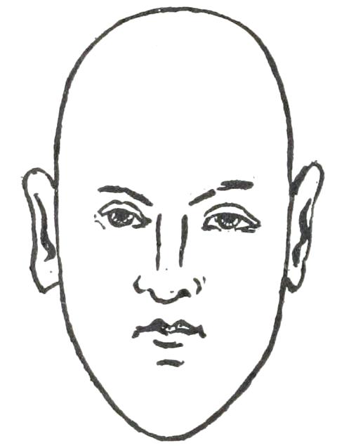 Fig. 19

NARROW FACE