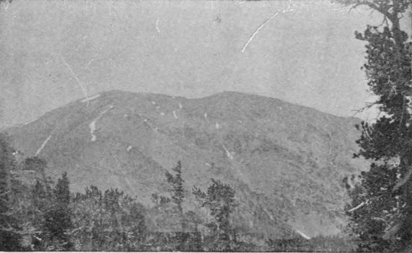 Mount San Antonio, July 4, 1895, As Seen from Mount
Lowe.