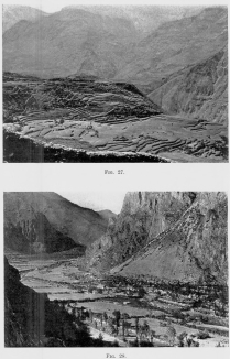 Fig. 27&mdash;Terraced valley slopes at Huaynacotas, Cotahuasi
Valley, Peru. Elevation 11,500 feet (3,500 m.).