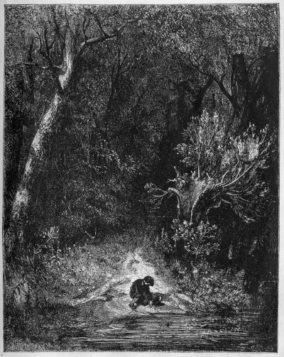 Der kleine D&auml;umling sammelt Kieselsteine