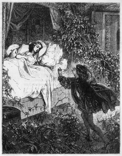 Der Prinz und das erwachende Dornr&ouml;schen