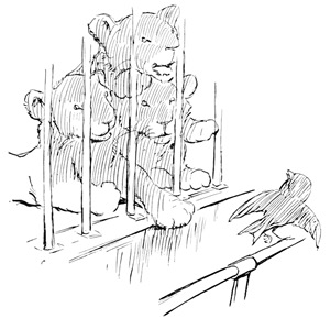 stop and tell us
the news