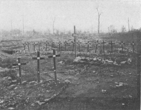 [Image not available]