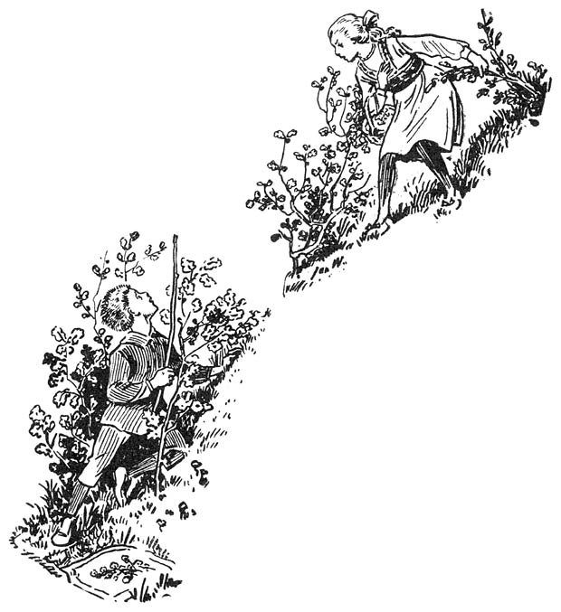 Van den steilen kant zakken.  Dook langs &rsquo;t benedenpaadje op.