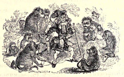 A man, dressed in the style of a Cavalier,
surrounded by a group of baboons. I have no idea what is going on here.