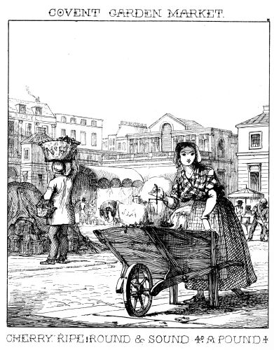 [Image unavailable: COVENT GARDEN MARKET.

CHERRY RIPE; ROUND & SOUND 4ᴰ. A POUND.]