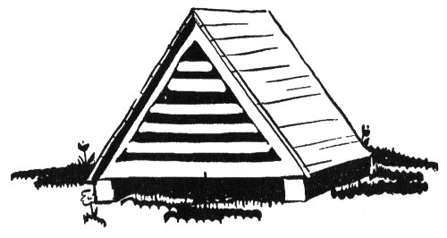 All this time
Bunny Bright Eyes was sitting like a prisoner in the dark little A-coop. 