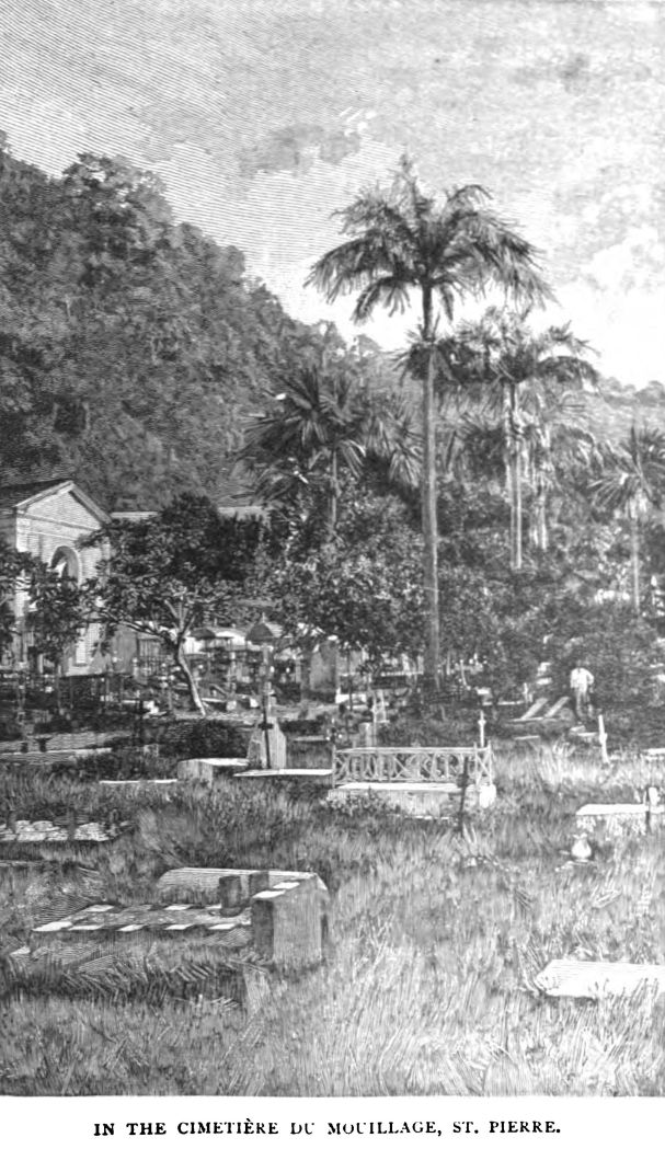 In the Cimet�re Du Mouillage, St. Pierre. 