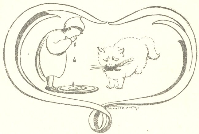 Mae&rsquo;n dda gan gath llygoden