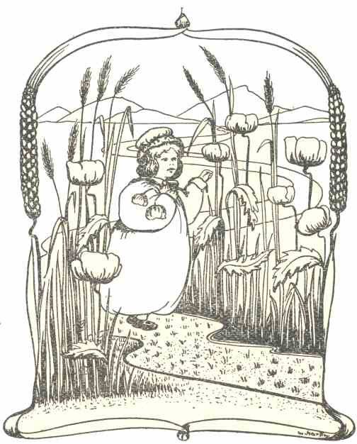 Mynd i&rsquo;r ardd i dorri pwysi